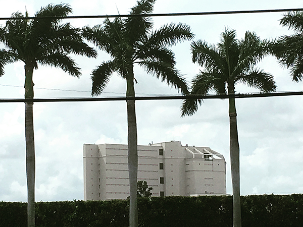 Encontrar Órdenes De Arresto En El Condado De Palm Beach