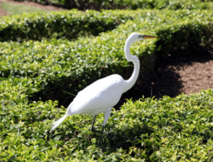 Fianzas en Hialeah Gardens, FL: Una señal que dice 'Fianzas' fuera de una oficina en Hialeah Gardens, Florida.