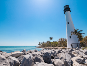 A scenic view of the ocean with palm trees lining the shore, representing the beauty of Fianzas en Key Biscayne.