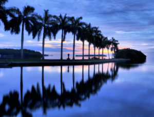 Fianzas Cutler Bay