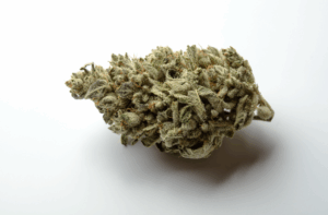 Leyes Sobre Marihuana en Florida: Lo Que es Legal y Lo Que No